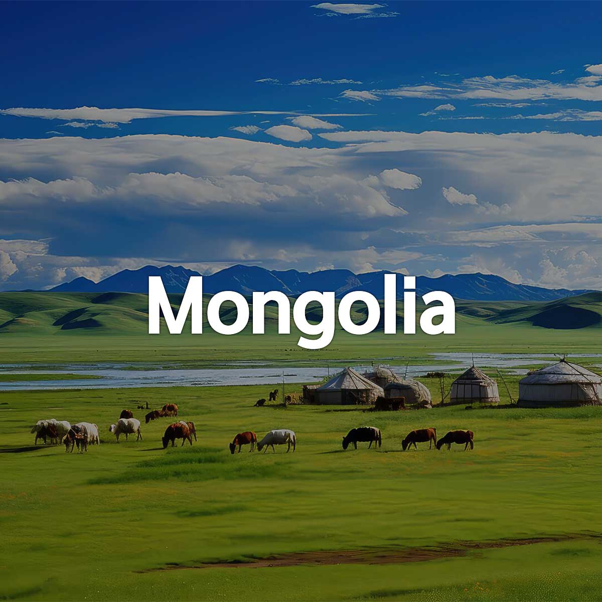 무안출발 몽골 울란바토르 초원 이미지